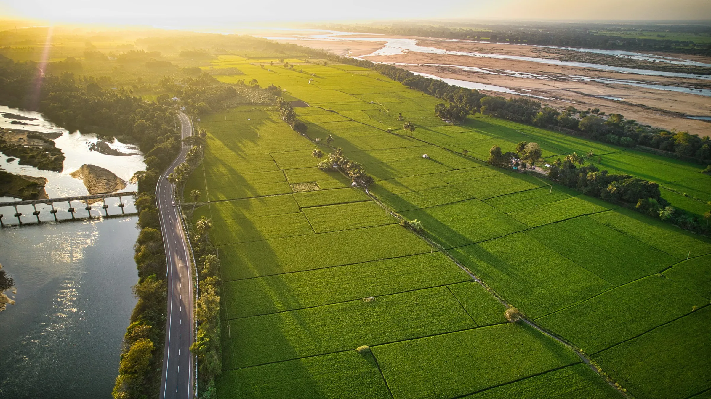 Aerial view of green paddy fields beside a river at sunrise