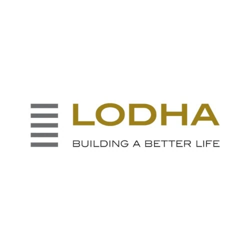 Lodha-Groups